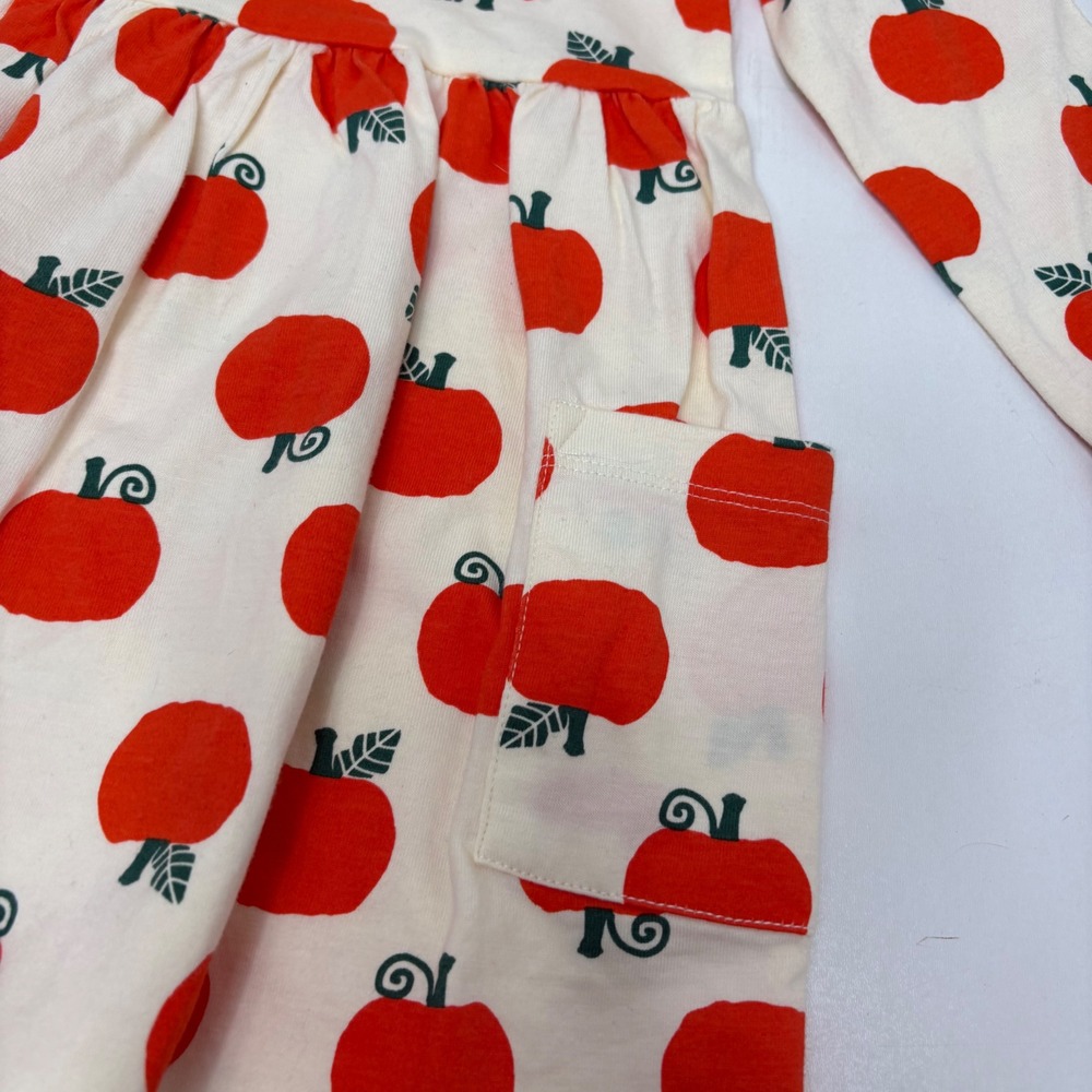 Hanna Andersson Kids pumpkin  Print Long Sleeve Dress Size 3T Cream - Picture 2 of 4